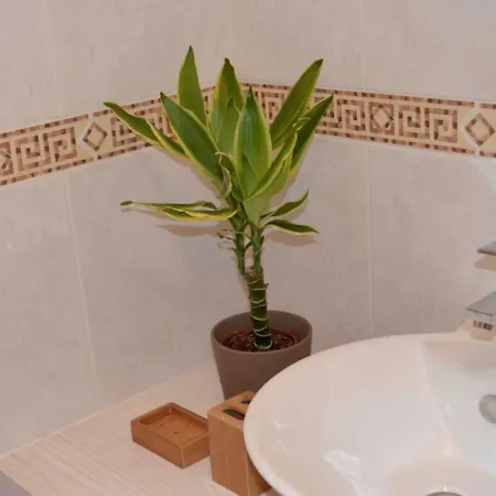 Apartament Casa Giulia, Town Center, Near The Sea